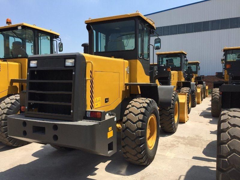 Famous Skid Loader