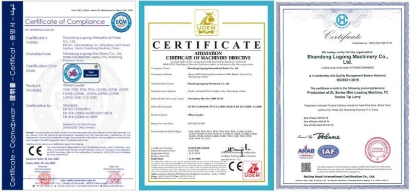 Lugong Cargador Compacto Maquinaria Agricultura