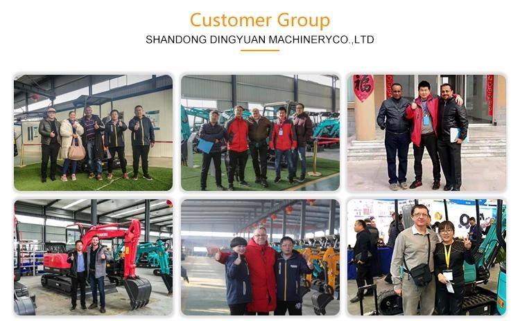 Shanding SD17b 1600kg Excavators Accessories Mini Digger Mini Excavator