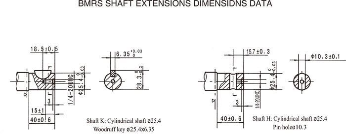 High Starting Torque Hydraulic Wheel Motor Bmrw