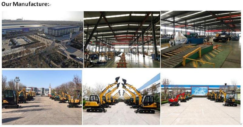 Fast Delivery Smooth Operating Small CE Crawler Excavator for Garden Use
