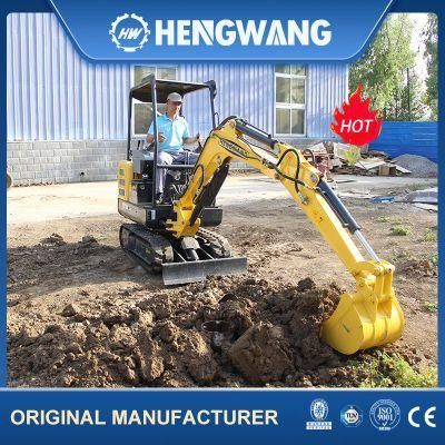 New 22 Ton Crawler Hydraulic Big Excavator for Malaysia Construction