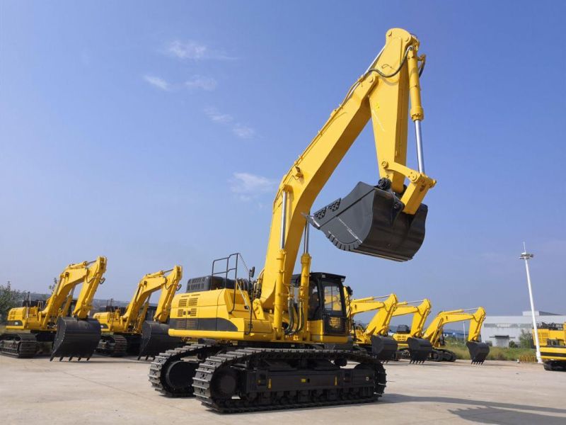 Top Brand China Sale Prices of Long Crawler Excavator with Cost Prices