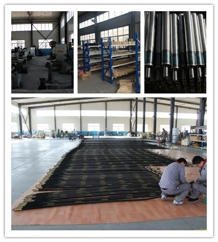 Backpack Concrete Vibrator, Gasoline Concrete Vibrator