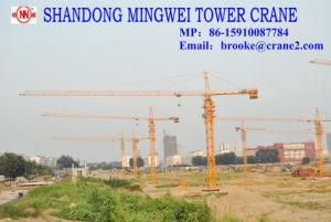 China Professional Self-Erecting Tower Crane Qtz100 Tc6013-Max. Load: 8t/Tip Load: 1.3t