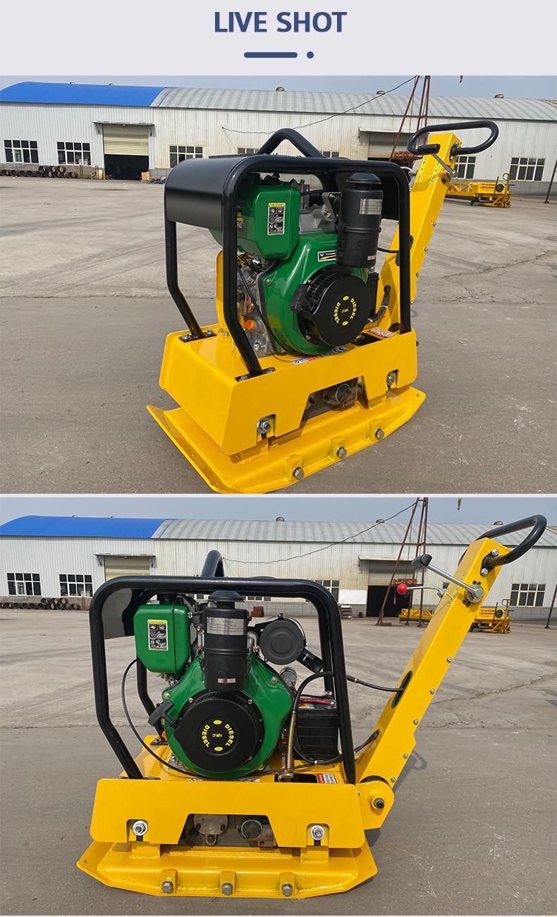 Construction Machinery Vibrating Plate Compactor