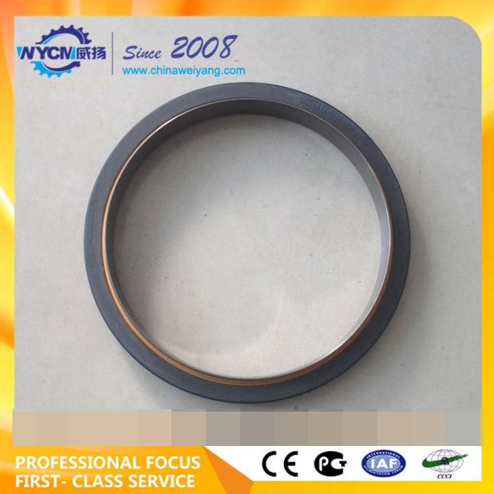 Shangchai Sc11 C6121 Oil Seal C02CB-9y9895 C02CB-4W0452 for Sale