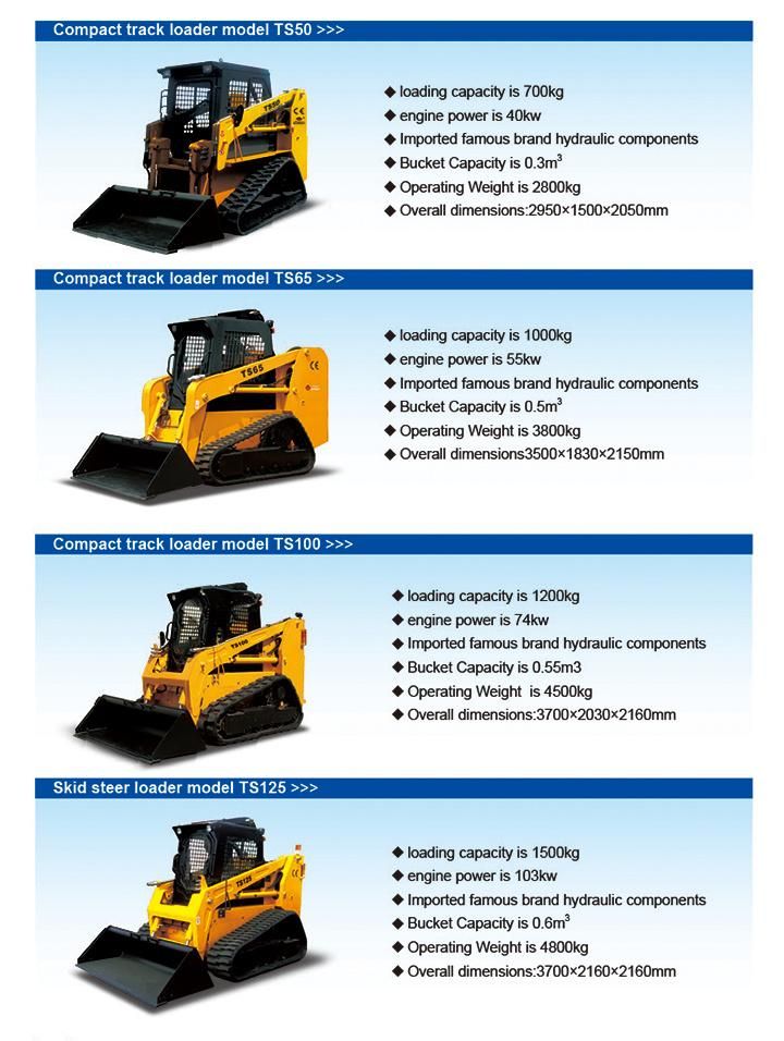 JC40/JC45/JC60/JC75/JC95/JC120/TS50/TS65/TS100/TS125 Skid Steer Loader for Sale