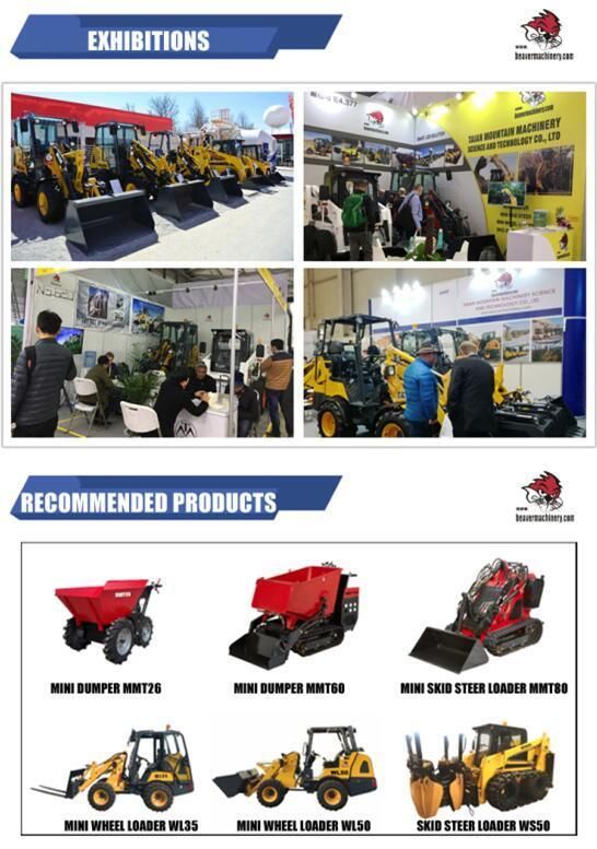 Multi New Promotion Mini Skid Loader with Diesel or Gas Engine