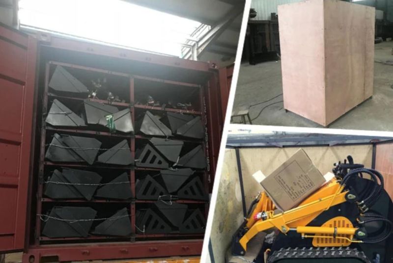 Compact Tracked Stand on Mini Skid Steer Loader Asg200 for Sale