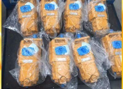 Sdlg Liugong 41200001953 Wheel Loader Hydraulic Pump Gear Pump for Sale