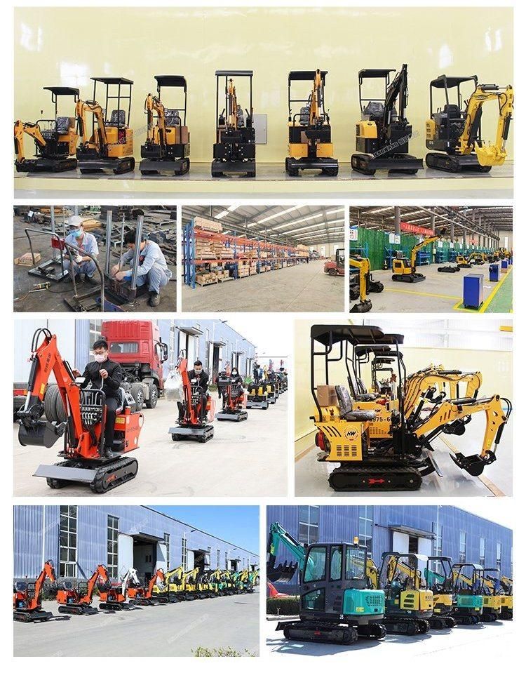 EPA 0.8 Ton Hydraulic Building Micro/Mini Backhoe Digger