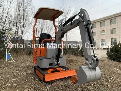 0.8 Ton / 1 Ton / 1.2ton Mini Pelle with CE &amp; EPA