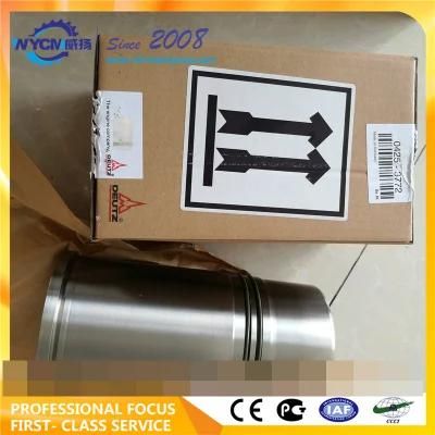 Deutz Engine Parts Cylinder 0425-3882 for Volvo Excavator