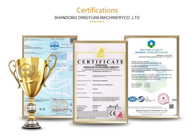 Shanding Excavators Hot Sale in Poland