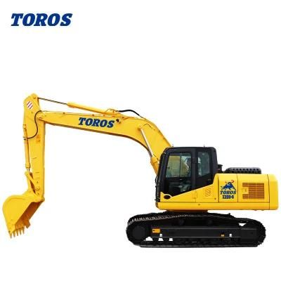 China Top Brand New High Quality 22 Ton Hydraulic Crawler Excavator Te220 for Sale in Good Price