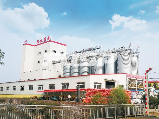 Stable Operation Hot Galvanized Steel Farm Silo for Grain Storage