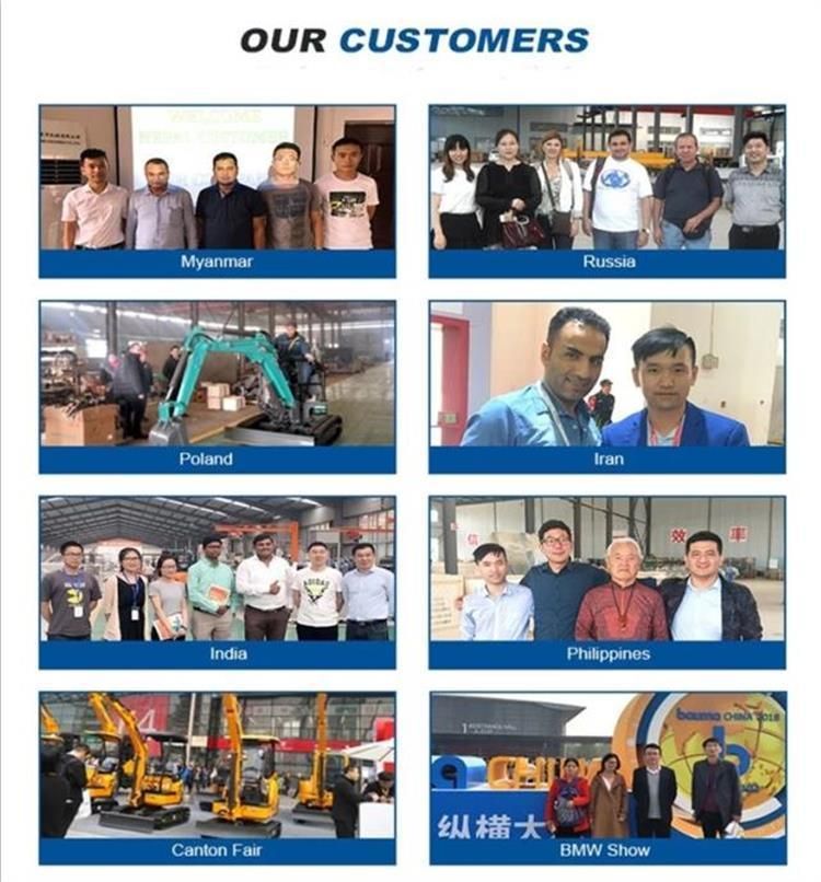 800 Kg Mini Excavator CE EPA Engine China Factory Price for Sale
