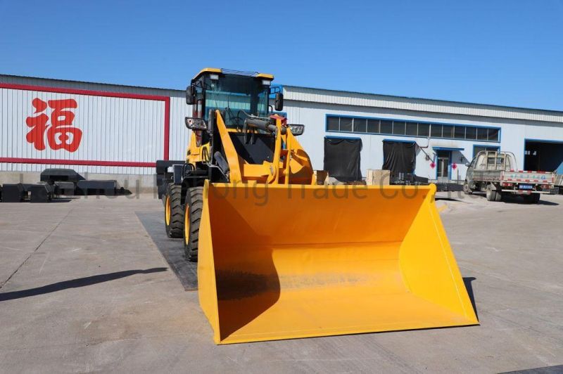 Unloading Height 4.5 Meters Large Multi-Functional Loader