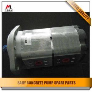 B220301000403 Double Gear Pump for Sany Concrete Pump /Sany Gear Pump