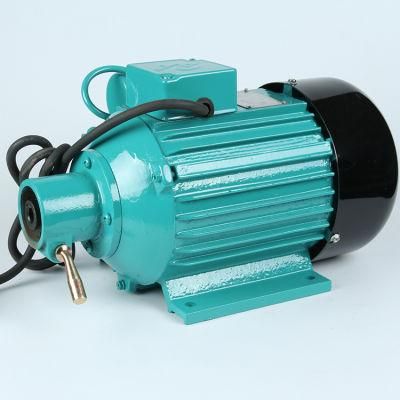 Construction Zn Concrete Vibrator Electric AC Vibrating Motor 2.2kw Vibradora De Concreto