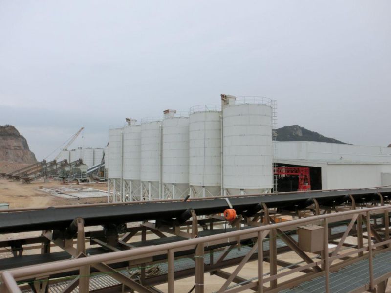 High Quality Cement Silo Used in Cement Plants with Factory Price
