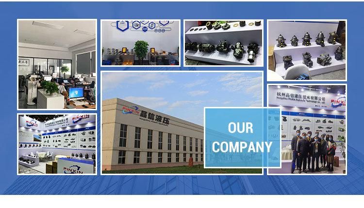 A6ve107 Hydraulic Spare Parts for Rexroth Piston Motor