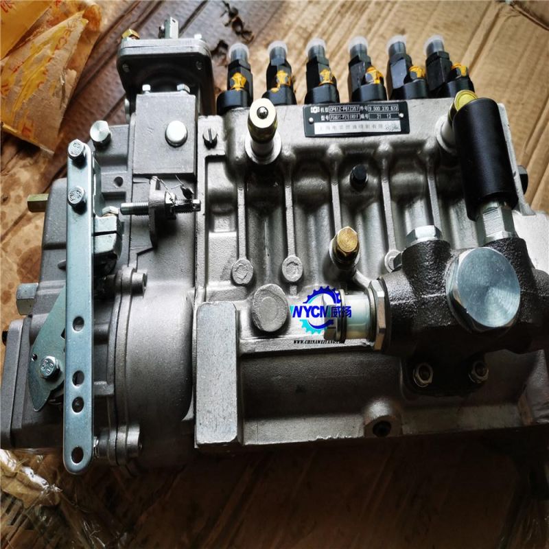 Shang-Chai Fuel Injection Pump Cp61z-P61z357 Spare Part for S-E-M Wheel Loader