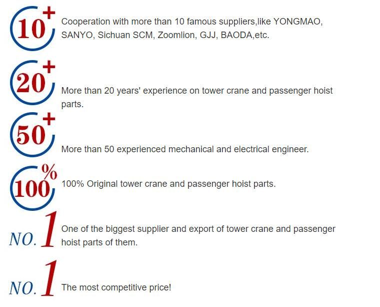 Yongmao, Scm, Sym Tower Crane Hoist Motor 51.5kw, 40.5kw