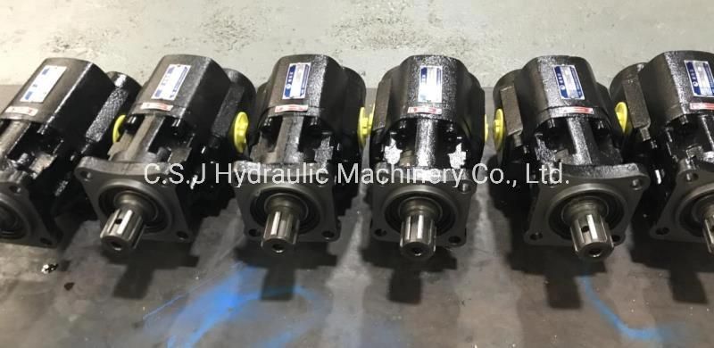 Gear Pump for Sanitary Machines