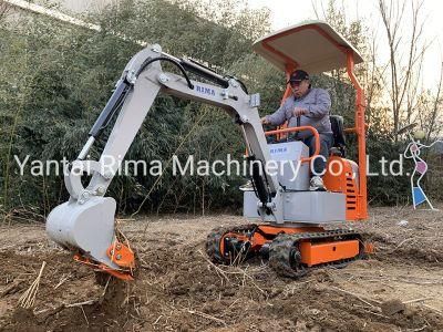 1 Ton Mini / Digger Excavators with Pilot Joystick