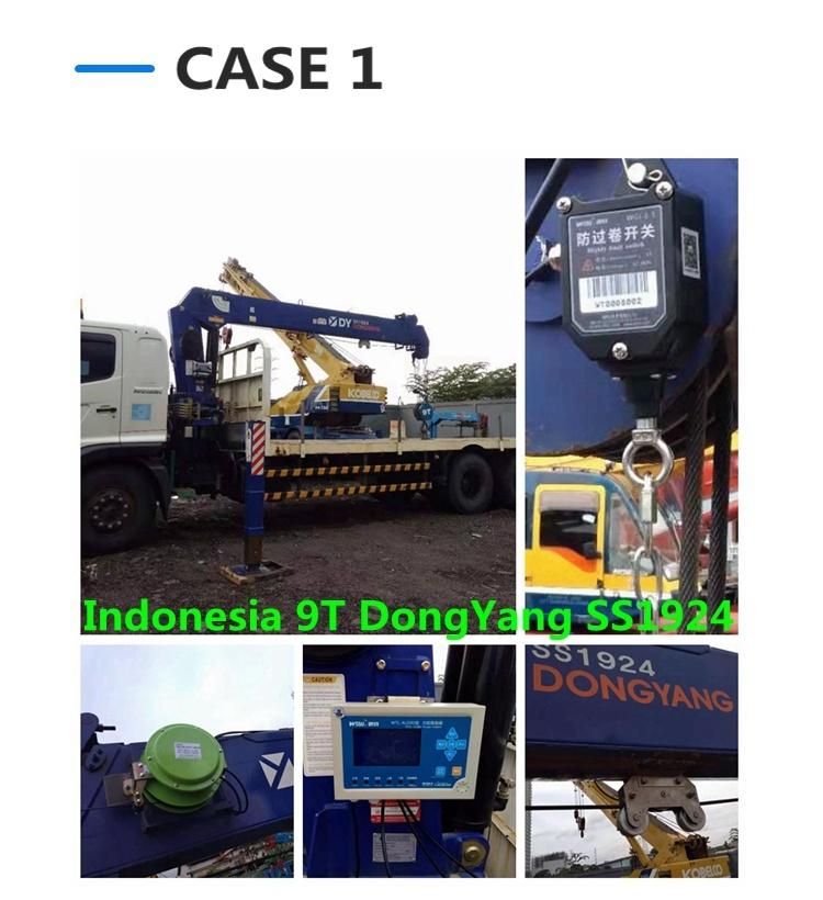 LSI Load Moment Indicator System for Telescopic Grove 20t