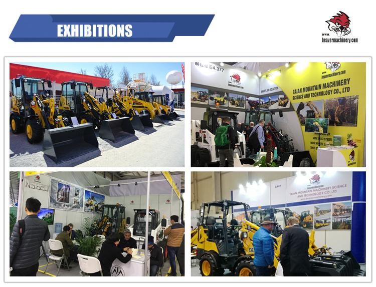 CE Strong Power Skid Steer Loader China Top Engine Various Attachment High Quality