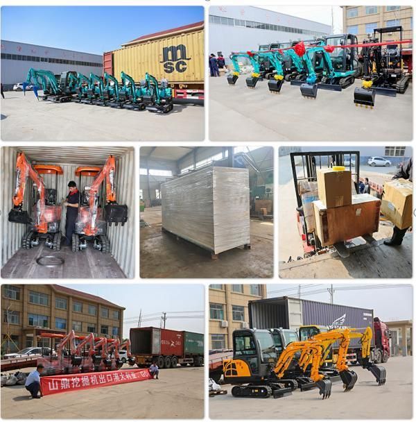 Hydraulic Big and Micro Wheel and Track Skid Loader List with Attachments with CE EPA for Sale