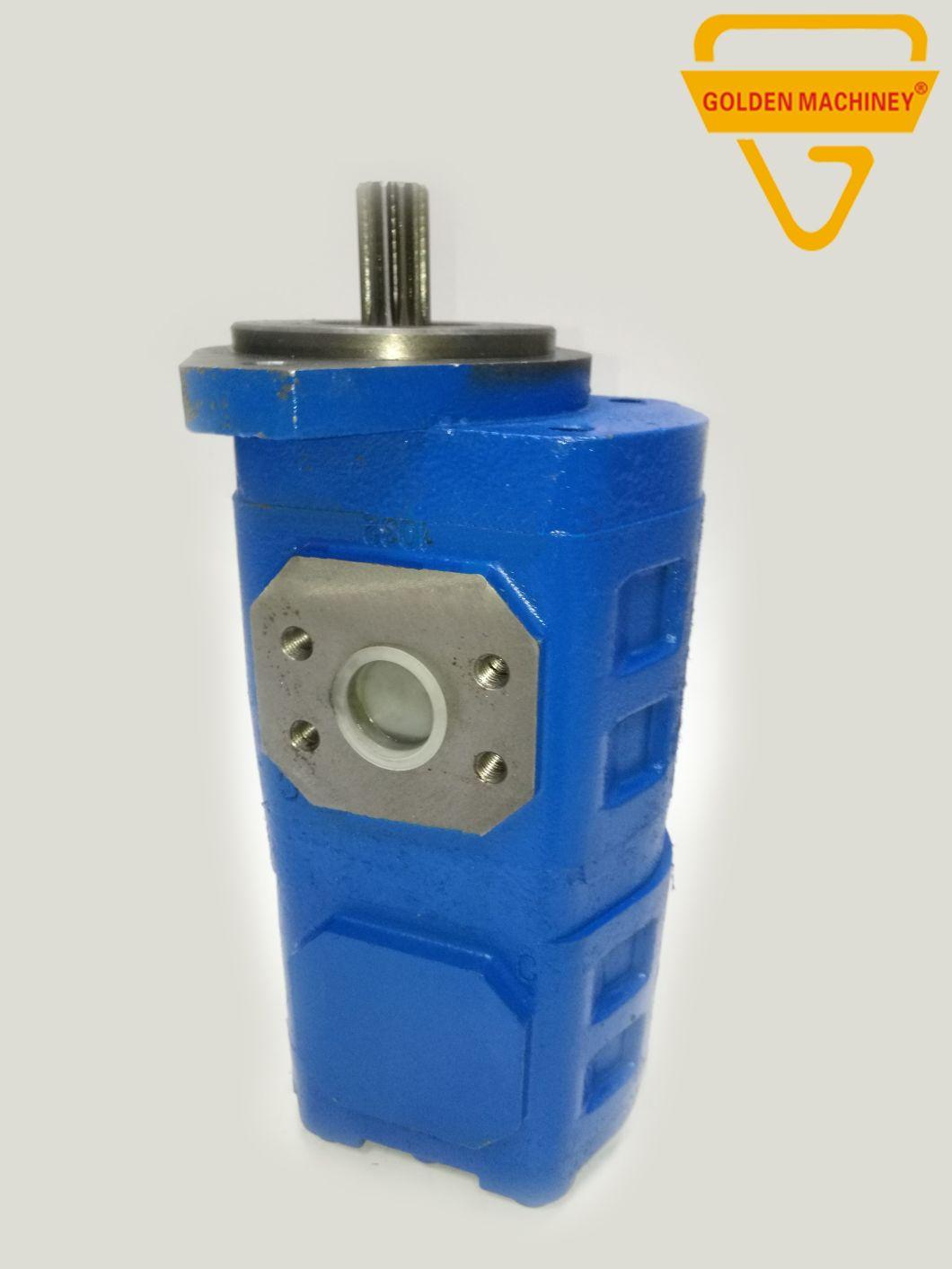 Gk E70 Ms070 S160 Construction Machinery Parts Cbgj Hydraulic Gear Pump Pilot Pump