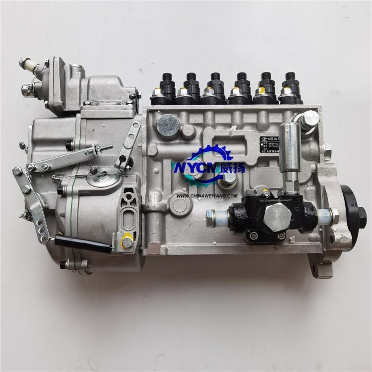 Fuel Injection Pump Cp10z-P10z022+a for Shanghai Engine Sc11 C6121