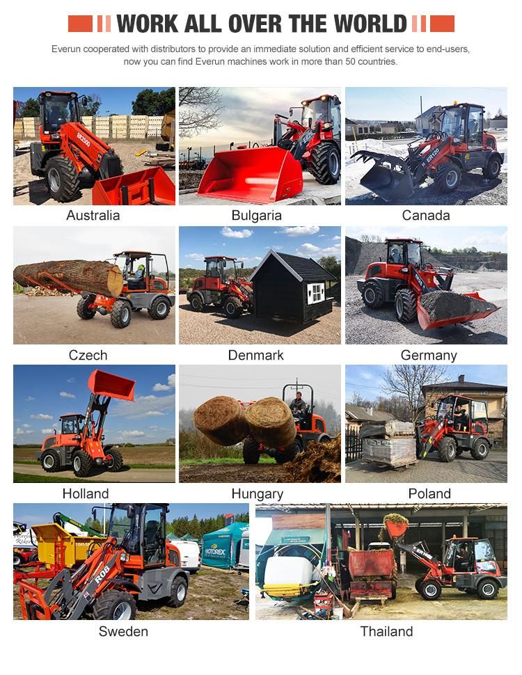 Hot Sale Everun New Er416t Compact 1.6ton Compact Front End Mini Small Farm Construction Bucket Wheel Loader with New Rops&Fops Cabin and EPA Euro5 Engine