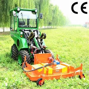 Chinese Small Garden Lawn Mower Tractor Loader Dy840 with Ce