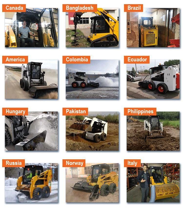 Tder EPA Engine Mini Track Wheel Skid Loader Skid Steer Loaders for Sale