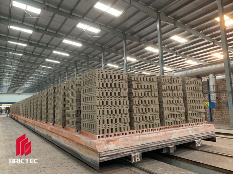 Worldsell Mud Brick Kiln and Automatic Small Brick Factory Design