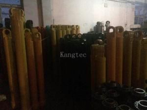 Hydraulic Cylinder for Excavator Caterpillar and Komatsu...