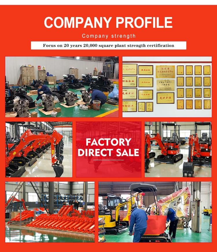 China Hydraulic Crawler 800kg Mini Excavator with Competitive Price