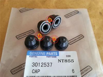 Engine Parts, Nt855 Cap 3012537