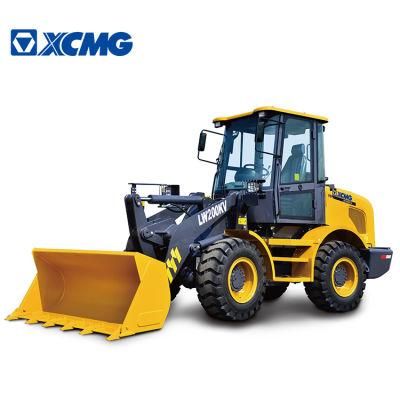 XCMG 2 Ton Compact Loader Lw200kv China Small Wheel Loader