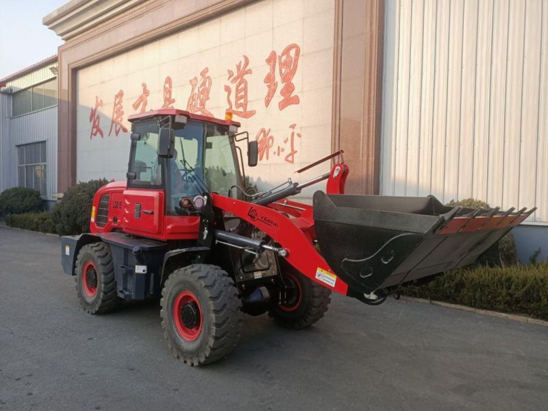 Lgcm OEM Italy Pump Motor Small Farming Compact Wheel Loader