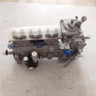 Weichai Engine Parts 13068876 Injection Pump 4110001525046 for Loader LG936L