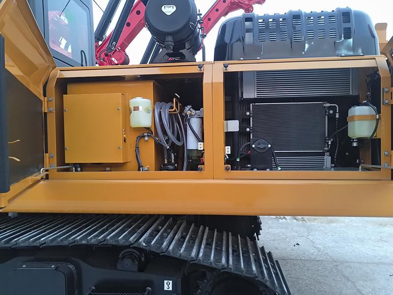SA Ny Sr65 Sr125 Sr155 Sr205 56m Depth Rotary Drilling Rig Machine