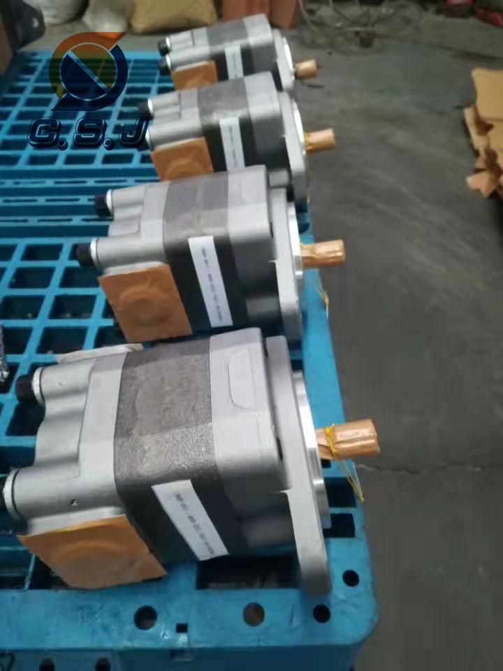 Part Number: 23A6011203 Gd663A Gear Pump