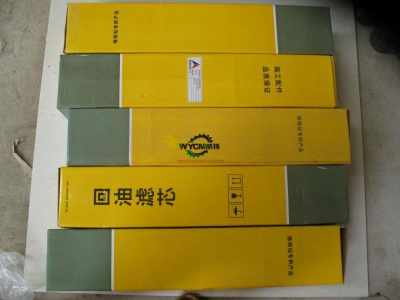 Original 2910000006 Hydraulic Oil Return Strain Filter for Wheel Loader Spare Part