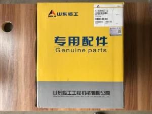 4110002925040 Alternator for Sdlg Wheel Loader